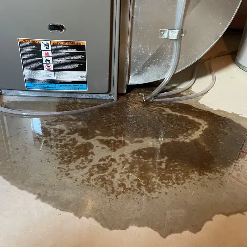 Appliance Leak Cleanup in Miami-Dade County, FL